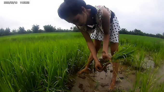 Amateur Asian Girl Gets Naughty In The Rice Field