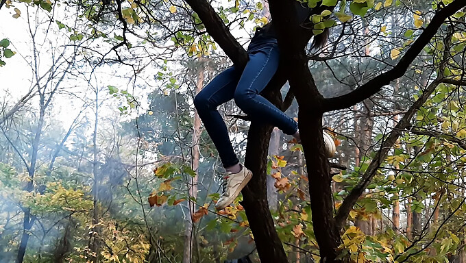 Mlada Ženska Pleza Na Drevo Za Užitek Na Prostem